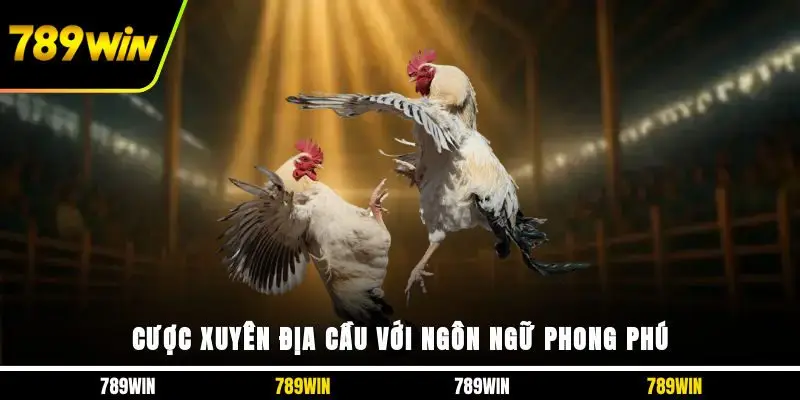 Cược xuyên địa cầu với ngôn ngữ phong phú